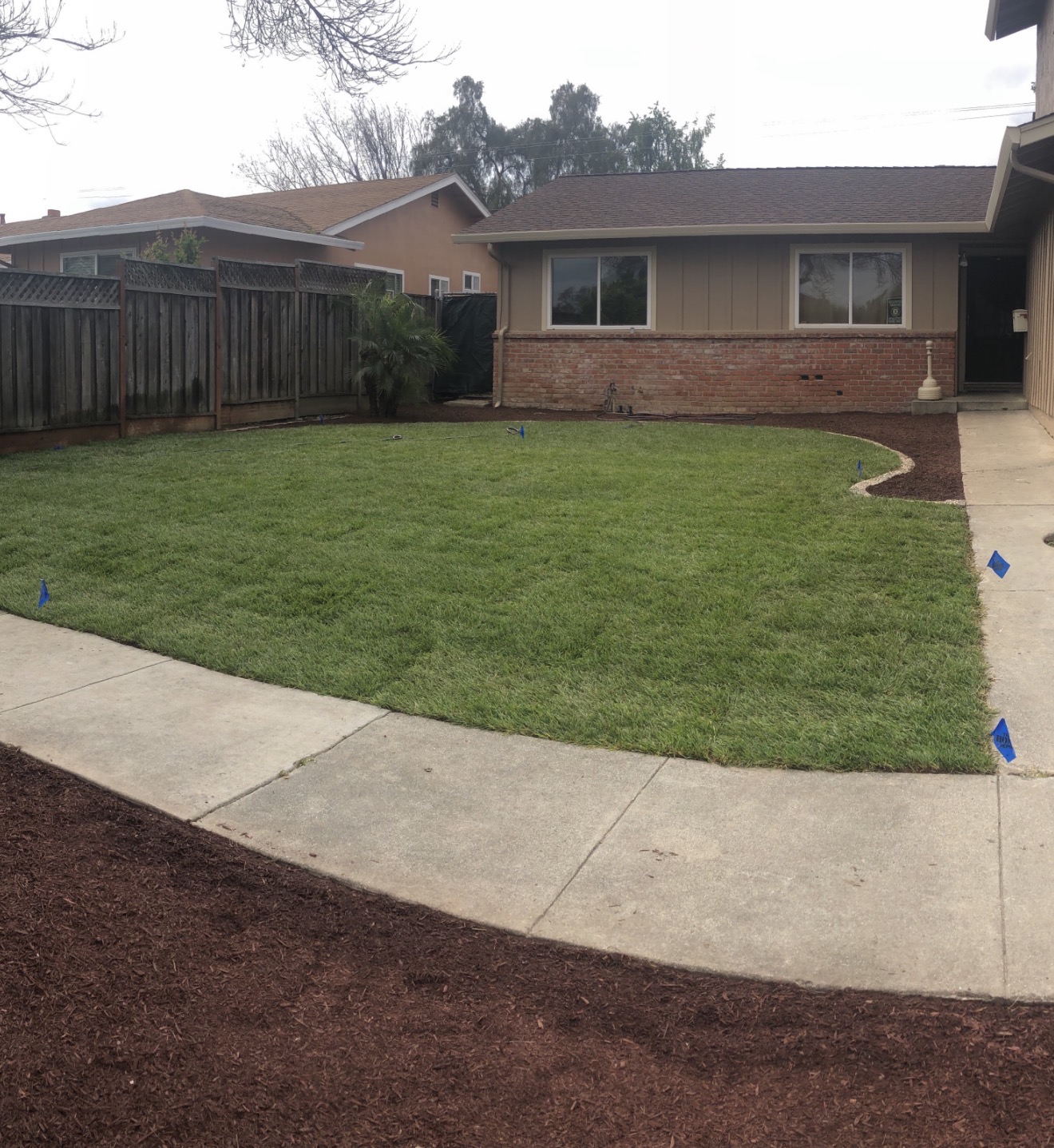 After: Beautiful completed landscape - RoanBuilt DFW